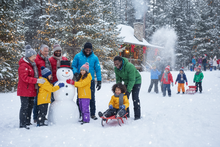 Load image into Gallery viewer, 2026 Virtual Parenting Solutions Circle
