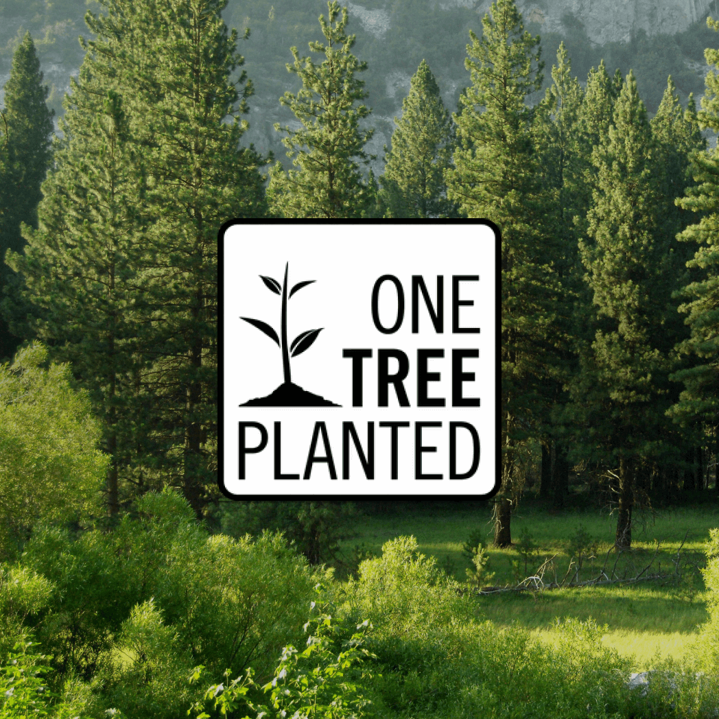 Donate Today | Plant a Tree by One Tree Planted