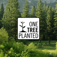 Donate Today | Plant a Tree by One Tree Planted